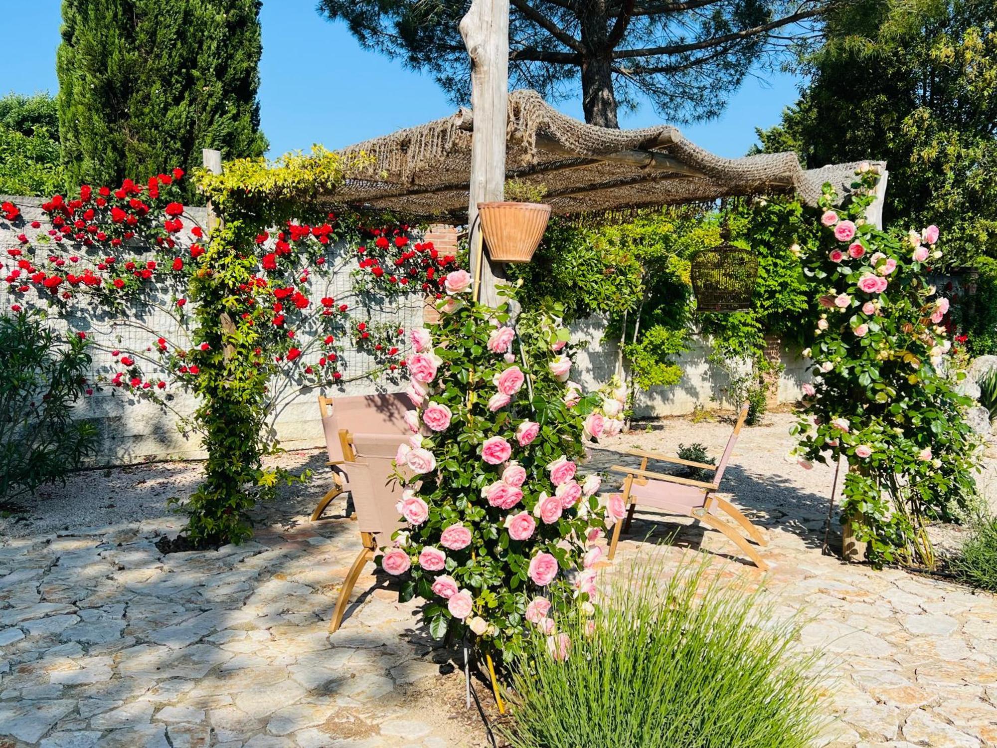 קורצ'יאנו Le Case Di Lisetta Holiday Homes מראה חיצוני תמונה