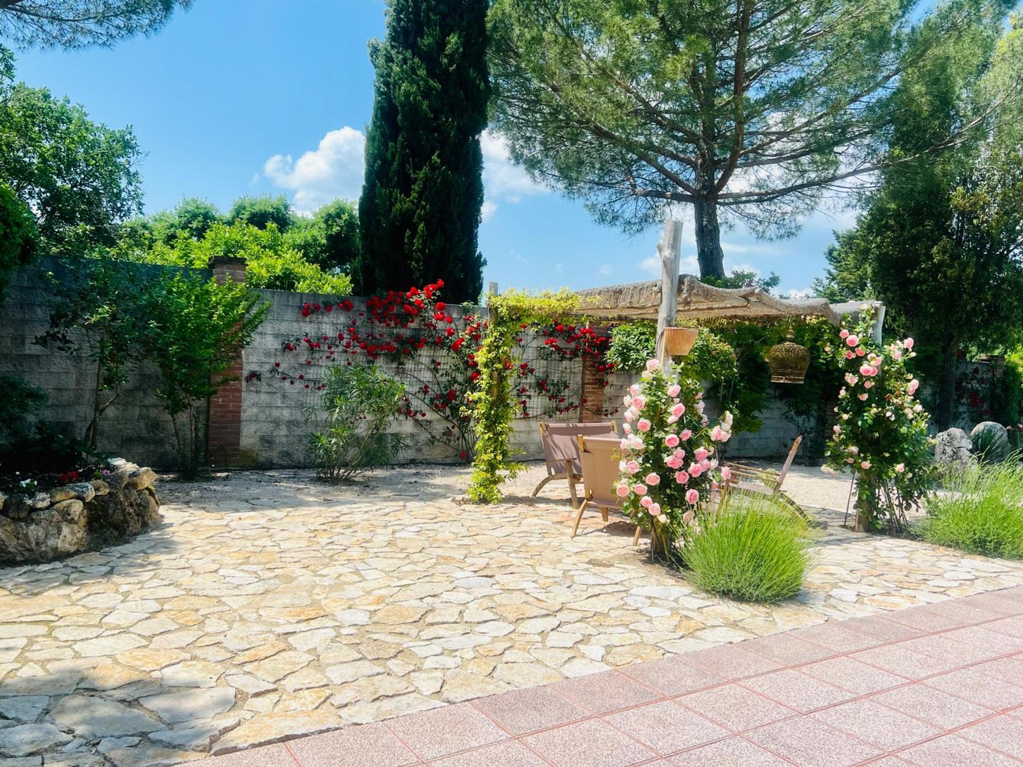 קורצ'יאנו Le Case Di Lisetta Holiday Homes מראה חיצוני תמונה