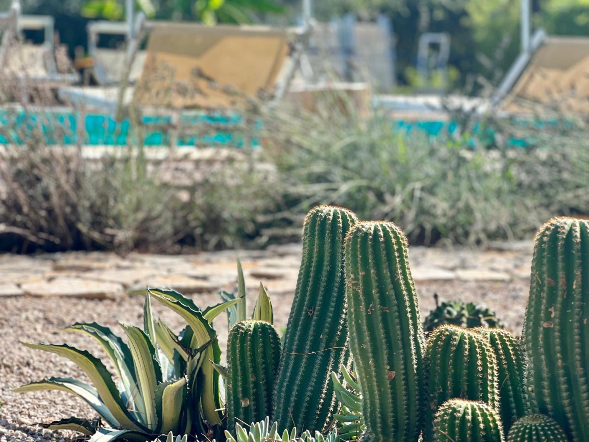 קורצ'יאנו Le Case Di Lisetta Holiday Homes מראה חיצוני תמונה