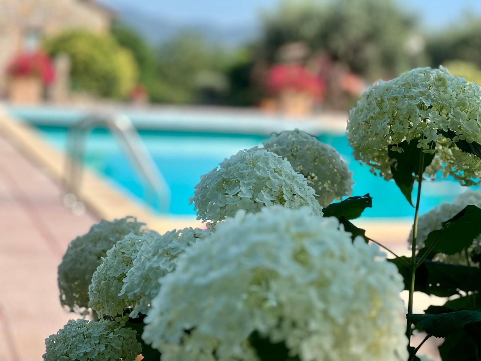 קורצ'יאנו Le Case Di Lisetta Holiday Homes מראה חיצוני תמונה