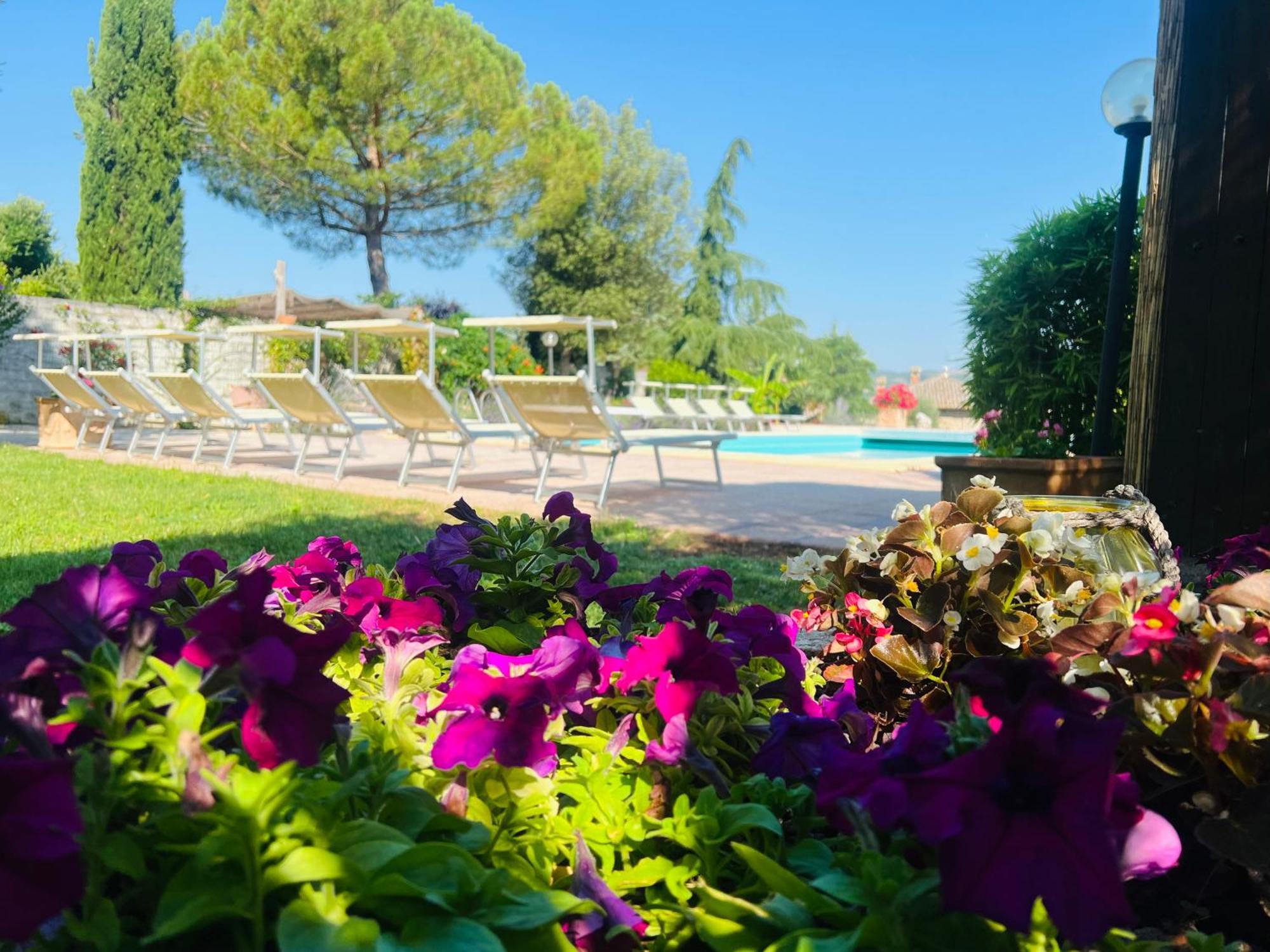קורצ'יאנו Le Case Di Lisetta Holiday Homes מראה חיצוני תמונה