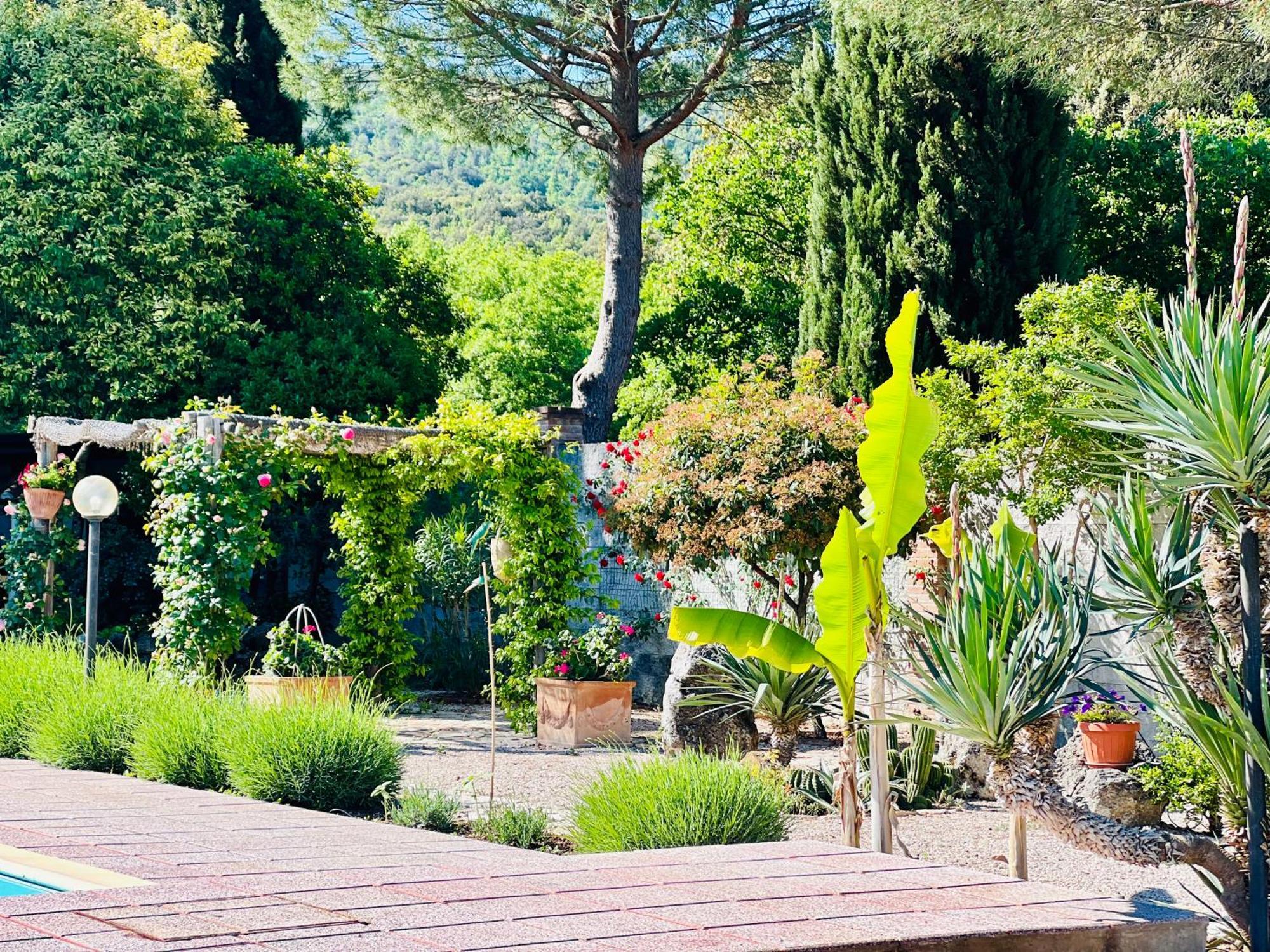 קורצ'יאנו Le Case Di Lisetta Holiday Homes מראה חיצוני תמונה