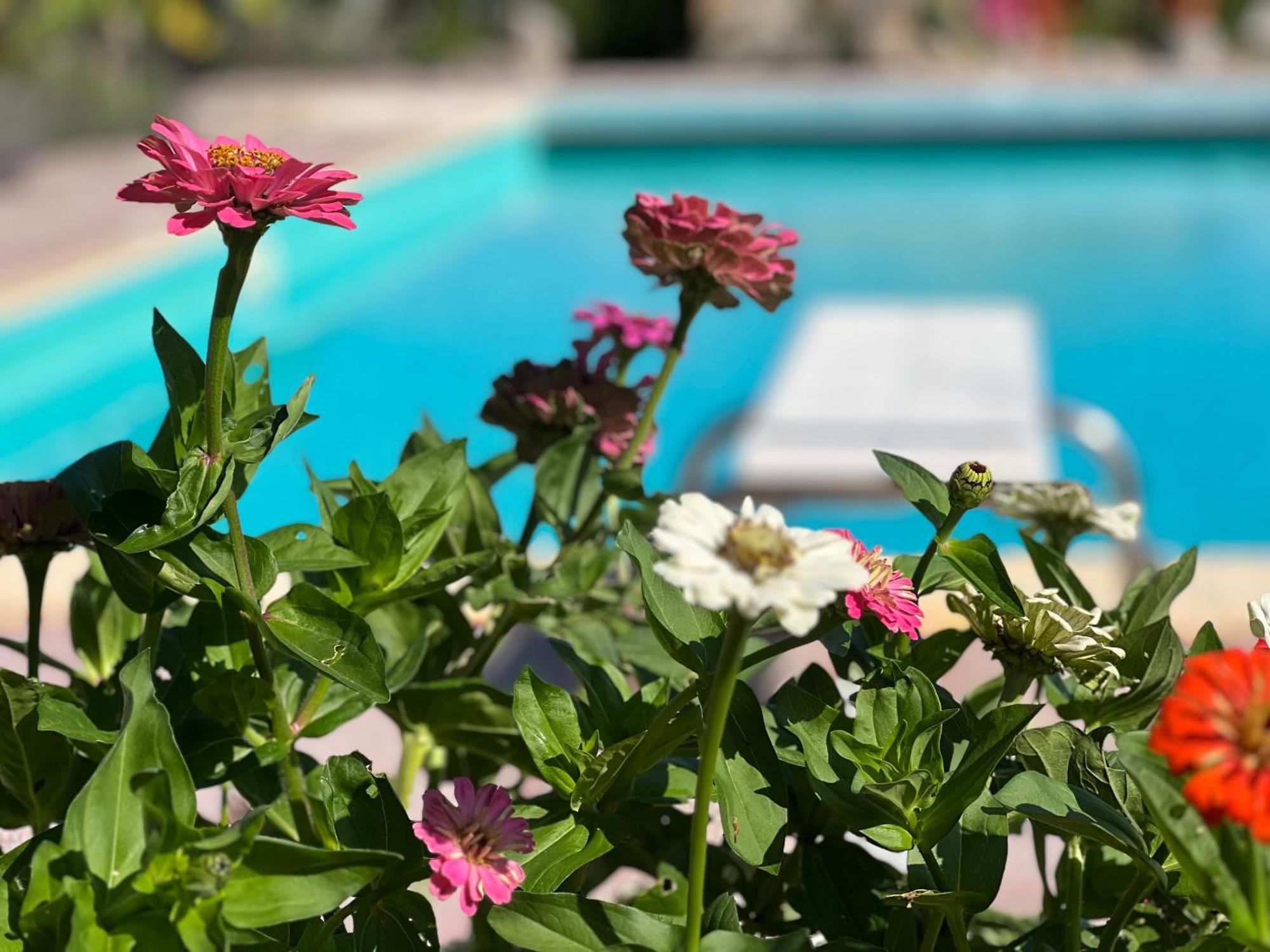 קורצ'יאנו Le Case Di Lisetta Holiday Homes מראה חיצוני תמונה