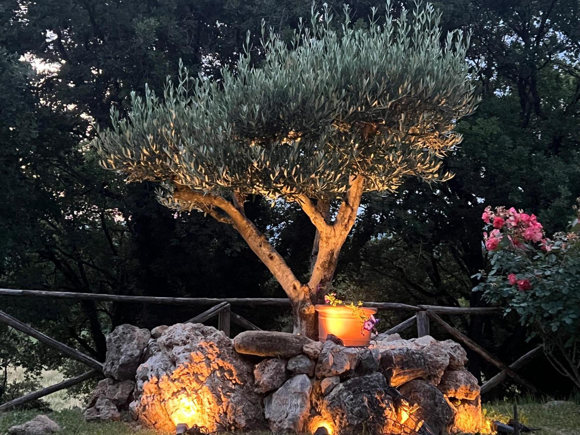 קורצ'יאנו Le Case Di Lisetta Holiday Homes מראה חיצוני תמונה